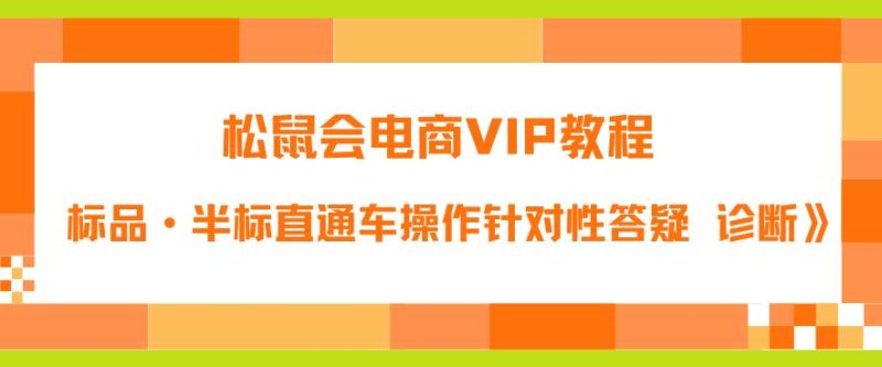 松鼠会电商VIP教程：松鼠《付费推广标品·半标直通车操作针对性答疑&诊断》_免费分享网络创业,副业,信息差项目的老牌资源整合平台！金铲子项目