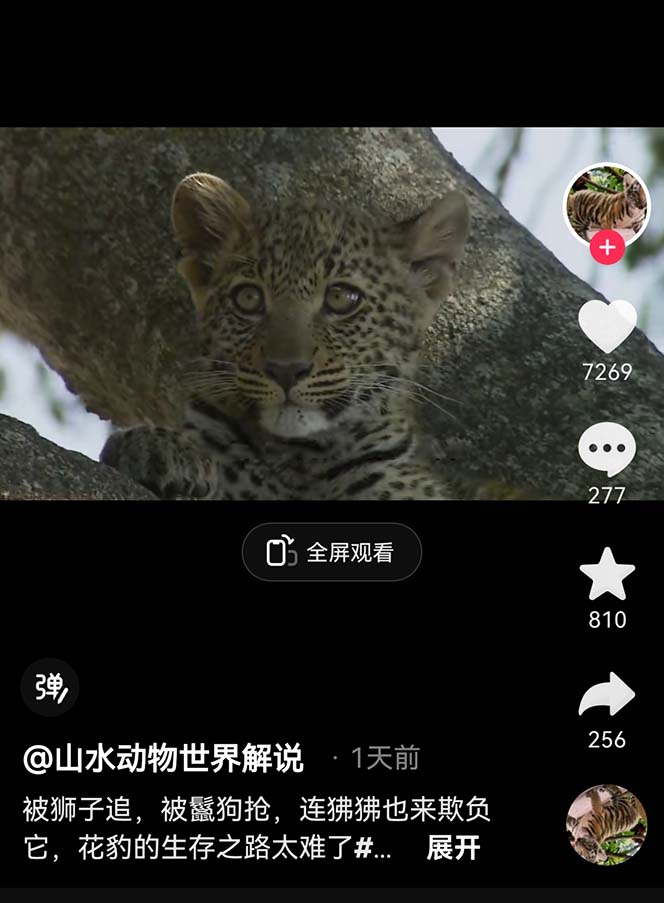 图片[3]_免费分享网络创业,副业,信息差项目的老牌资源整合平台！（6312期）外面卖1699的国外纪录片解说（动物解说、美食、动画片）稳过中视频_免费分享网络创业,副业,信息差项目的老牌资源整合平台！金铲子项目