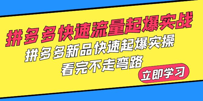 (6253期)拼多多-快速流量起爆实战,拼多多新品快速起爆实操,看完不走弯路_免费分享网络创业,副业,信息差项目的老牌资源整合平台!金铲子项目