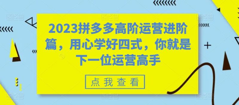 (6193期)2023拼多多高阶运营进阶篇,用心学好四式,你就是下一位运营高手_免费分享网络创业,副业,信息差项目的老牌资源整合平台!金铲子项目