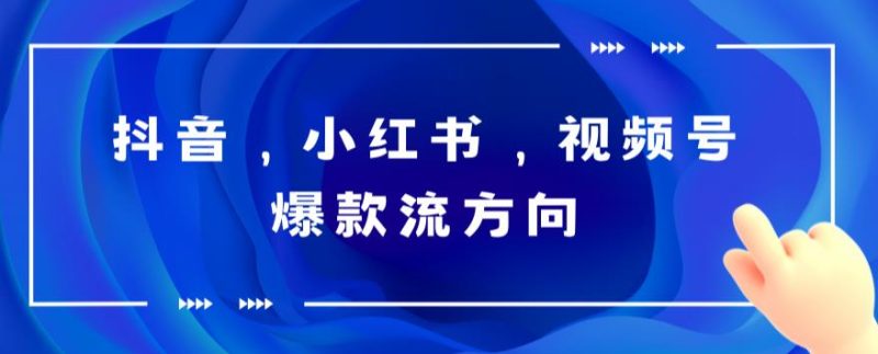 抖音，小红书，视频号爆款流视频制作，简单制作掌握流量密码_免费分享网络创业,副业,信息差项目的老牌资源整合平台！金铲子项目