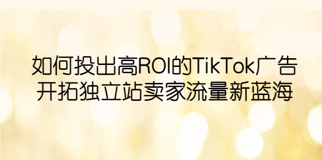 (6102期)如何投出高ROI·TikTok广告,开拓独立站卖家流量新蓝海_免费分享网络创业,副业,信息差项目的老牌资源整合平台!金铲子项目