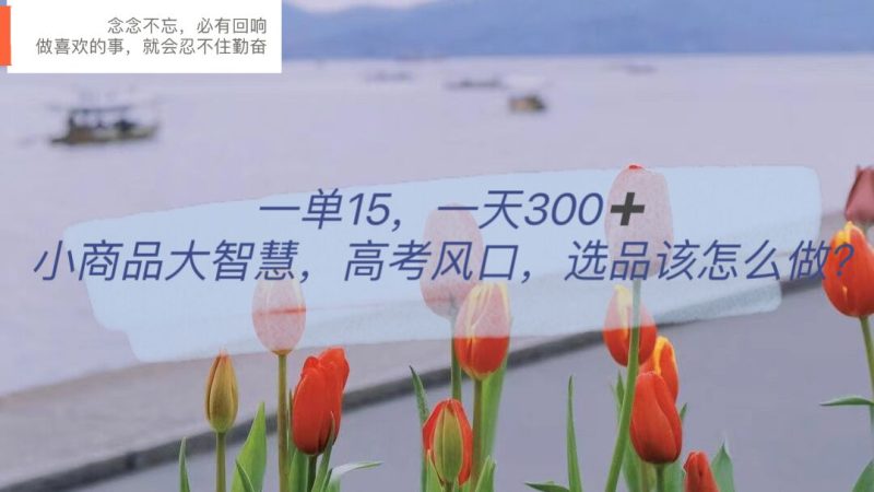 （6077期）一单15小商品大智慧，高考风口，选品该怎么布局_免费分享网络创业,副业,信息差项目的老牌资源整合平台！金铲子项目