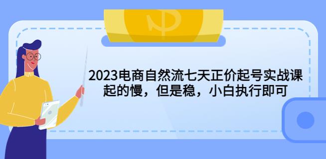 2023电商自然流七天正价起号实战课:起的慢,但是稳,小白执行即可_免费分享网络创业,副业,信息差项目的老牌资源整合平台!金铲子项目