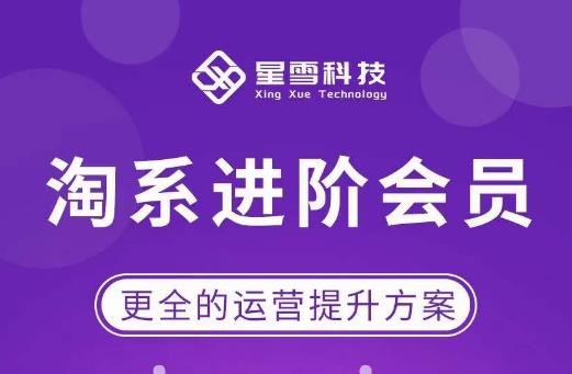 星雪·淘系进阶课程,快速提升突破技能流量瓶颈必备(更新2023年5月)_免费分享网络创业,副业,信息差项目的老牌资源整合平台!金铲子项目