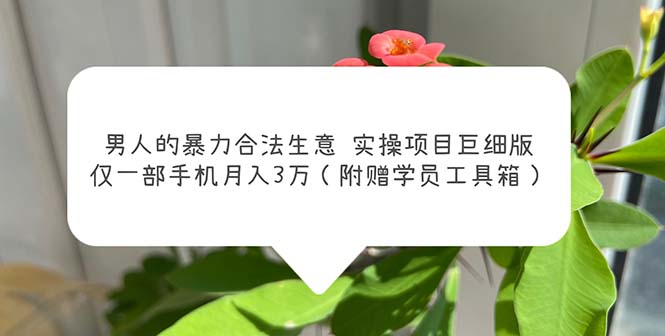 (5962期)男人的暴力合法生意实操项目巨细版:仅一部手机(附赠学员工具箱)_免费分享网络创业,副业,信息差项目的老牌资源整合平台!金铲子项目