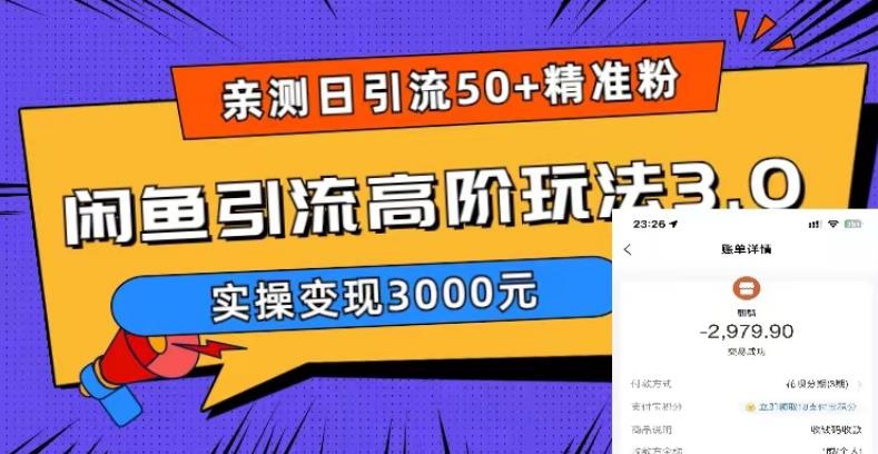 亲测日引精准粉，闲鱼引流高阶玩法3.0，实操3000元【揭秘】_免费分享网络创业,副业,信息差项目的老牌资源整合平台！金铲子项目