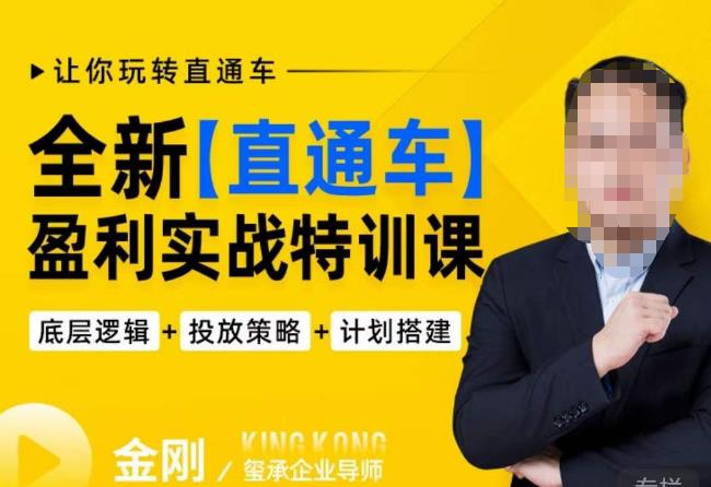 玺承·全新直通车盈利实战特训课,从底层逻辑详细拆解,从底层,策略到搭建,让你玩转直通车_免费分享网络创业,副业,信息差项目的老牌资源整合平台!金铲子项目