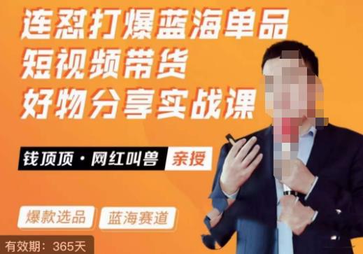 网红叫兽·连怼打爆蓝海单品,短视频带货好物分享实战课_免费分享网络创业,副业,信息差项目的老牌资源整合平台!金铲子项目