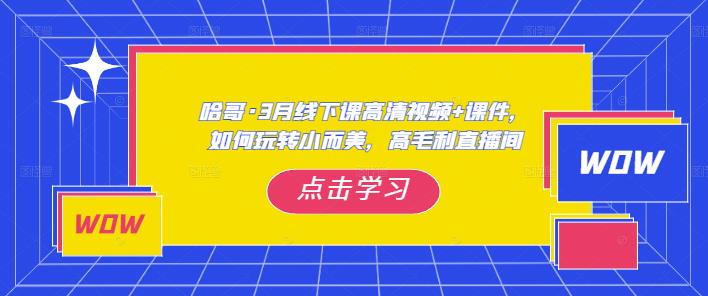 哈哥·3月线下实操课高清视频课件，如何玩转小而美，高毛利直播间_免费分享网络创业,副业,信息差项目的老牌资源整合平台！金铲子项目
