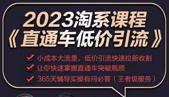 2023直通车低价引流玩法课程，小成本大流量，低价引流快速拉新收割，让你快速掌握直通车突破瓶颈_免费分享网络创业,副业,信息差项目的老牌资源整合平台！金铲子项目