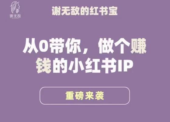 谢无敌·小红书运营大宝典,从0带你做个赚钱的小红书IP_免费分享网络创业,副业,信息差项目的老牌资源整合平台!金铲子项目