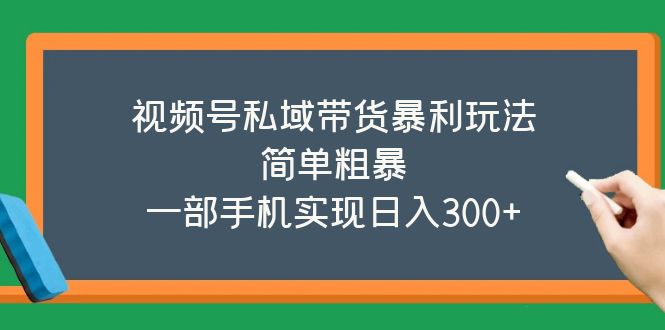 （5544期）视频号私域带货暴利玩法，简单粗暴，一部手机实现_免费分享网络创业,副业,信息差项目的老牌资源整合平台！金铲子项目