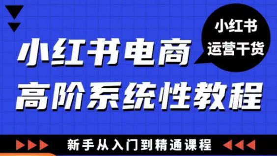 小红书电商高阶系统教程,新手从入门到精通系统课_免费分享网络创业,副业,信息差项目的老牌资源整合平台!金铲子项目