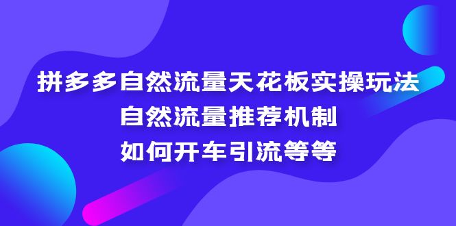 (5327期)拼多多自然流量天花板实操玩法:自然流量推荐机制,如何开车引流等等_免费分享网络创业,副业,信息差项目的老牌资源整合平台!金铲子项目