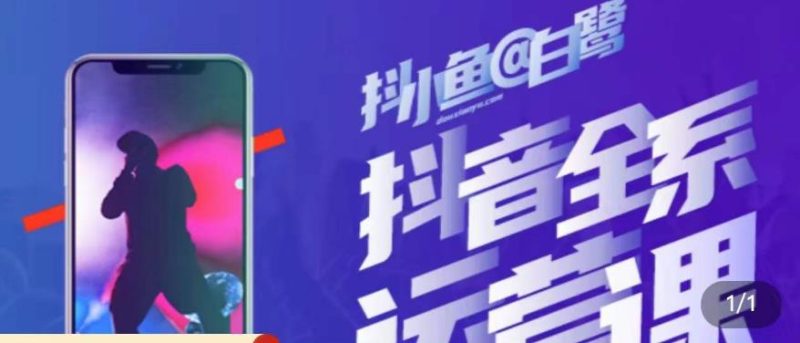 白鹭·主播内训营,运营主播话术起号进阶能力提升_免费分享网络创业,副业,信息差项目的老牌资源整合平台!金铲子项目