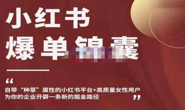 小红书爆单锦囊,自带种草属性高质量女性用户,为你的企业开辟一条新的掘金路径_免费分享网络创业,副业,信息差项目的老牌资源整合平台!金铲子项目