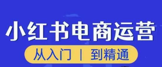 顽石小红书电商高阶运营课程,从入门到精通,玩法流程持续更新_免费分享网络创业,副业,信息差项目的老牌资源整合平台!金铲子项目