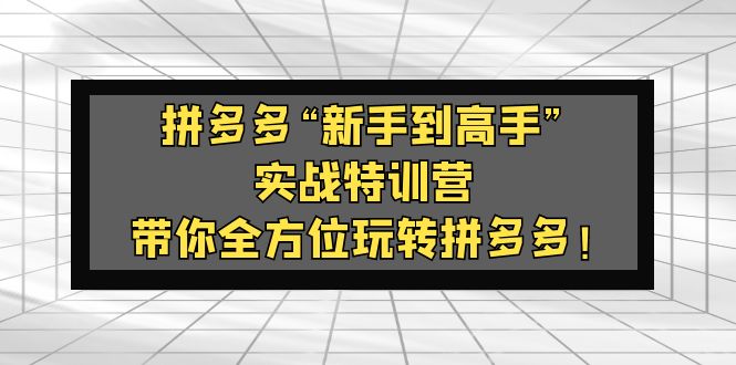 (5173期)拼多多“新手到高手”实战特训营:带你全方位玩转拼多多_免费分享网络创业,副业,信息差项目的老牌资源整合平台!金铲子项目