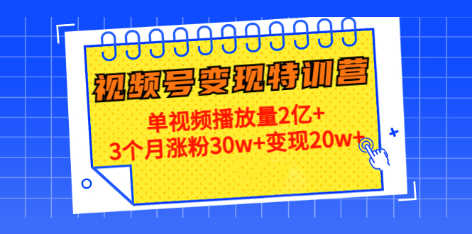 21天视频号特训营：单视频播放量2亿3个月涨粉30w（第14期）_免费分享网络创业,副业,信息差项目的老牌资源整合平台！金铲子项目
