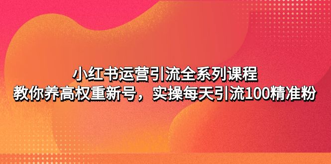 (4950期)小红书运营引流全系列课程:教你养高权重新号,实操每天引流100精准粉_免费分享网络创业,副业,信息差项目的老牌资源整合平台!金铲子项目