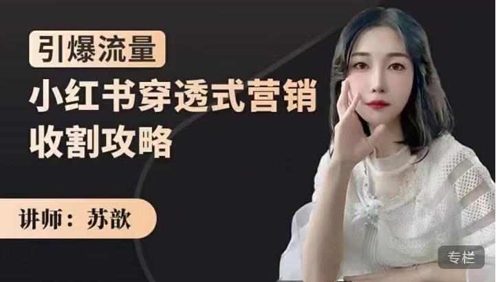 苏歆:小红书穿透式营销收割攻略,引爆流量,助你玩转小红书_免费分享网络创业,副业,信息差项目的老牌资源整合平台!金铲子项目
