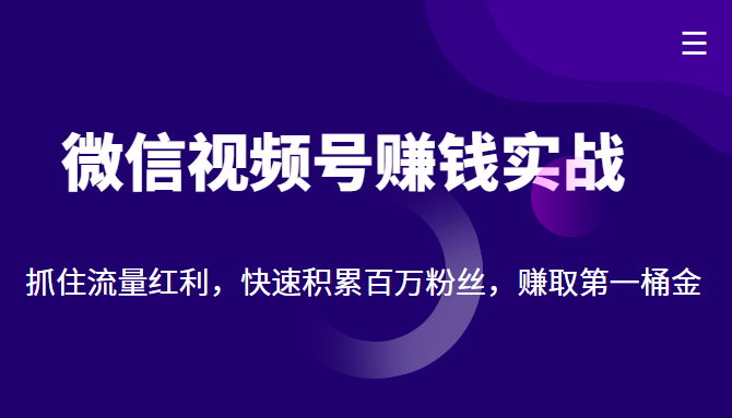微信视频号赚钱实战:抓住流量红利,快速积累百万粉丝,赚取你的第一桶金_免费分享网络创业,副业,信息差项目的老牌资源整合平台!金铲子项目