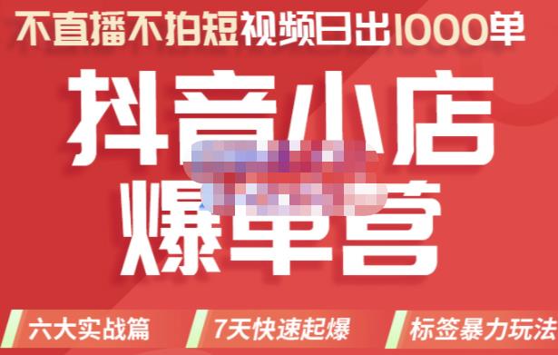 推易电商·2022年抖音小店爆单营,不直播、不拍短视频、日出1000单,暴力玩法_免费分享网络创业,副业,信息差项目的老牌资源整合平台!金铲子项目