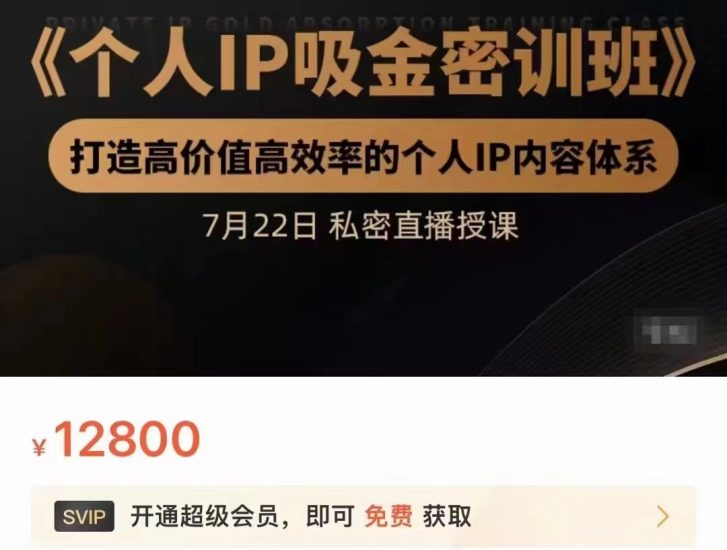 个人IP吸金密训班,打造高价值高效率的个人IP内容体系(价值12800元)_免费分享网络创业,副业,信息差项目的老牌资源整合平台!金铲子项目