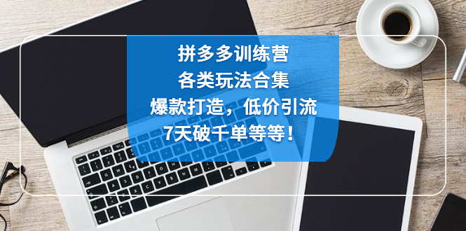 （4693期）拼多多训练营：各玩法合集，爆款打造，低价引流，7天破千单等等_免费分享网络创业,副业,信息差项目的老牌资源整合平台！金铲子项目