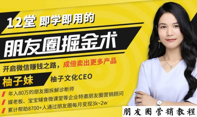 【营销必学】12堂学之即用的朋友圈掘金术:开启你的副业赚钱之路_免费分享网络创业,副业,信息差项目的老牌资源整合平台!金铲子项目