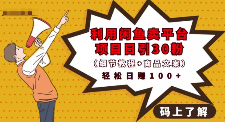 利用闲鱼卖平台项目课程资源日引流精准粉丝积累人脉可实现二次变_免费分享网络创业,副业,信息差项目的老牌资源整合平台!金铲子项目