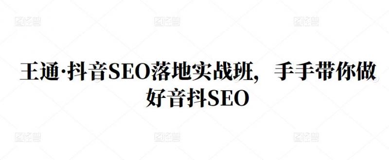 王通·抖音SEO落地实战班,手手带你做好音抖SEO_免费分享网络创业,副业,信息差项目的老牌资源整合平台!金铲子项目