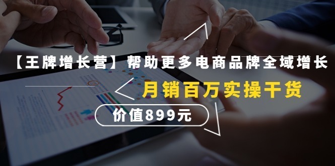 （4264期）【王牌增长营】帮助更多电商品牌全域增长，百万实操干货，价值899元_免费分享网络创业,副业,信息差项目的老牌资源整合平台！金铲子项目