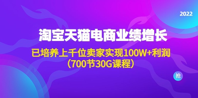 (4409期)淘系天猫电商业绩增长:已培养上千位卖家实现100W利润(700节30G课程)_免费分享网络创业,副业,信息差项目的老牌资源整合平台!金铲子项目