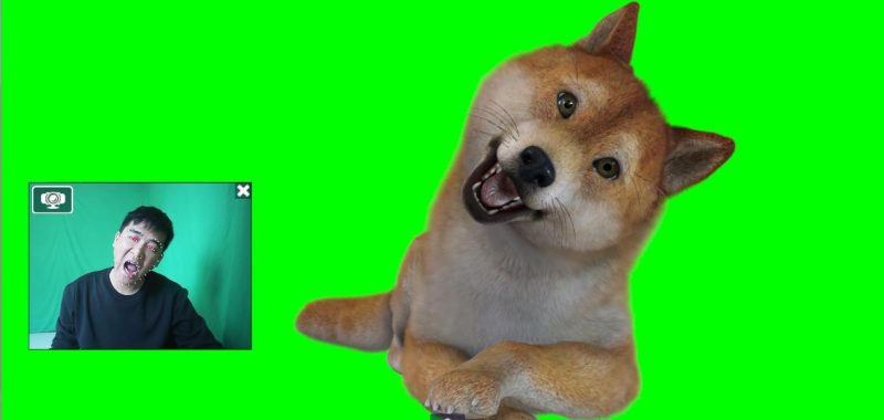 (4181期)实时直播换脸卡通形象出镜,卡通形象面部捕捉(软件教程)_免费分享网络创业,副业,信息差项目的老牌资源整合平台!金铲子项目