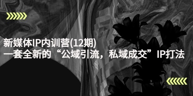 (4103期)新媒体IP内训营(12期),一套全新的“公域引流,私域成交”IP打法,直接带走_免费分享网络创业,副业,信息差项目的老牌资源整合平台!金铲子项目