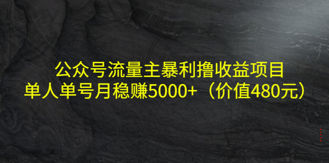 (4011期)公众号流量主暴利撸项目,单人单号月稳(价值480元)_免费分享网络创业,副业,信息差项目的老牌资源整合平台!金铲子项目