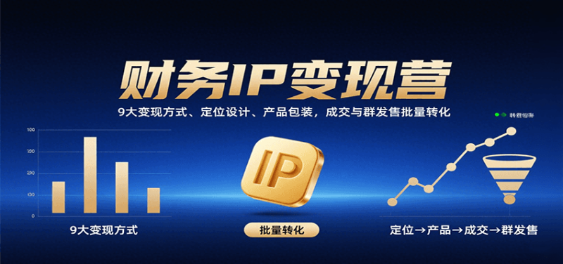 财务IP营：9大方式、定位设计、产品包装，成交与群发售批量转化_免费分享网络创业,副业,信息差项目的老牌资源整合平台！金铲子项目