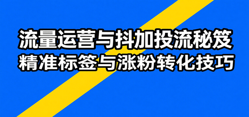 流量运营与抖加投流秘笈,含算法解析、爆款打造、精准标签与涨粉转化技巧_免费分享网络创业,副业,信息差项目的老牌资源整合平台!金铲子项目