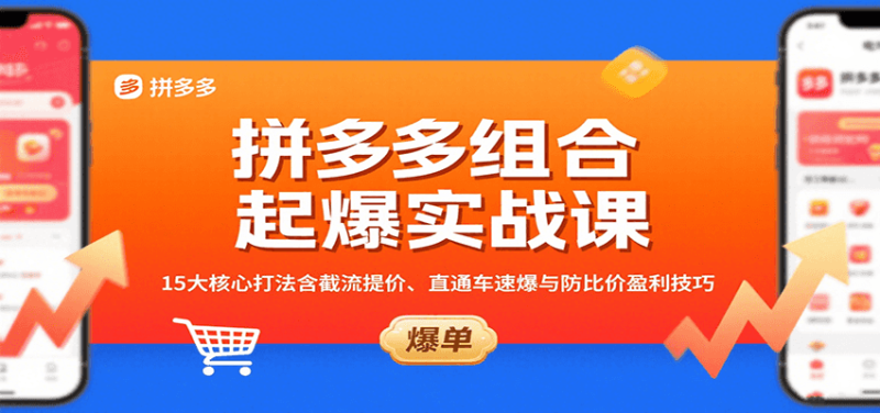 拼多多组合起爆实战课:15大核心打法含截流提价、直通车速爆与防比价盈利技巧_免费分享网络创业,副业,信息差项目的老牌资源整合平台!金铲子项目