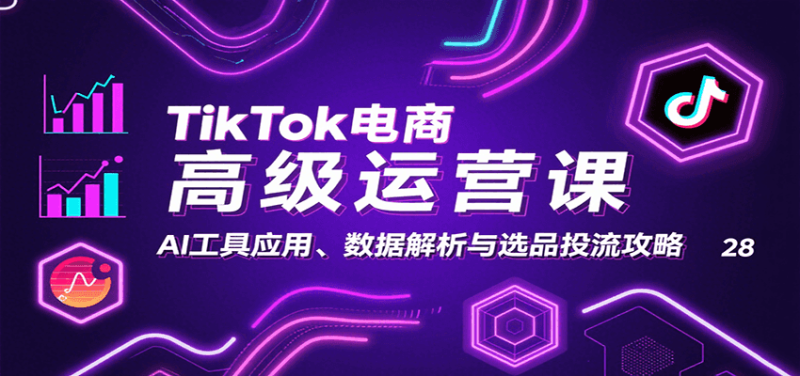 TikTok电商高级运营课：AI工具应用、数据解析与选品投流攻略_免费分享网络创业,副业,信息差项目的老牌资源整合平台！金铲子项目