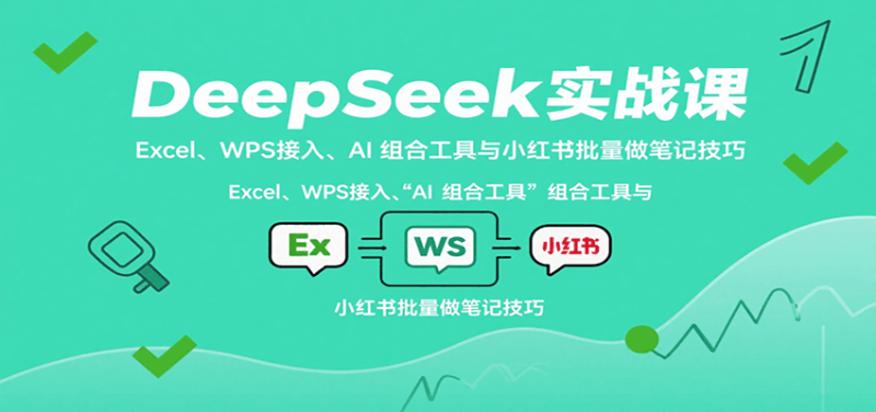 DeepSeek实战课:Excel、WPS接入、AI组合工具与小红书批量做笔记技巧_免费分享网络创业,副业,信息差项目的老牌资源整合平台!金铲子项目