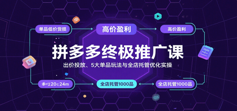 拼多多终极推广课:出价投放、5大单品玩法与全店托管优化实操_免费分享网络创业,副业,信息差项目的老牌资源整合平台!金铲子项目