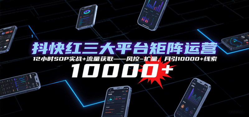 抖快红三大平台矩阵运营,12小时SOP实战流量获取-风控-扩量,月引10000线索_免费分享网络创业,副业,信息差项目的老牌资源整合平台!金铲子项目