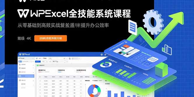 (15873期)WPSExcel全技能系统课程:从零基础到高阶实战全覆盖,全面提升办公效率_免费分享网络创业,副业,信息差项目的老牌资源整合平台!金铲子项目