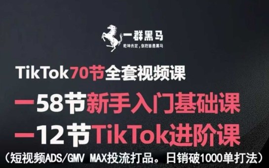 TikTok全套视频课,新手入门进阶课,短视频ADS-GMVMAX投流打品,破1000单打法_免费分享网络创业,副业,信息差项目的老牌资源整合平台!金铲子项目