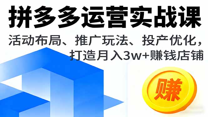 (16135期)拼多多运营实战课,活动布局、推广玩法、投产优化,打造赚钱店铺_免费分享网络创业,副业,信息差项目的老牌资源整合平台!金铲子项目