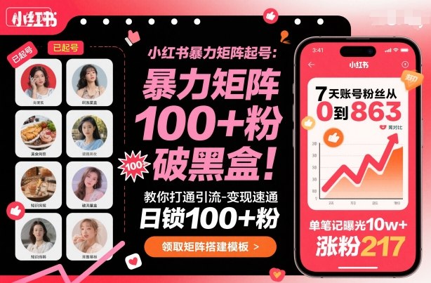 小红书暴力矩阵起号,教你打通引流-速通,日锁粉,破流量黑盒_免费分享网络创业,副业,信息差项目的老牌资源整合平台!金铲子项目