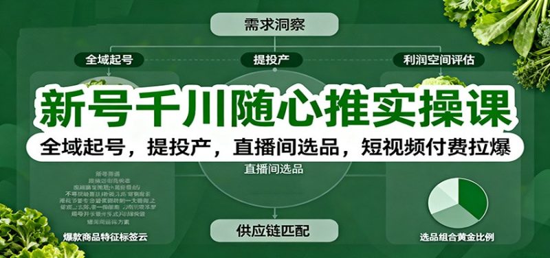 新号千川随心推实操课：全域起号，提投产，直播间选品，短视频付费拉爆_免费分享网络创业,副业,信息差项目的老牌资源整合平台！金铲子项目